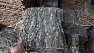 Panneau de fond en écorce de Champagne Aree, écorce de liège sèche, décoration d'aquarium, panneau de camouflage mural, panneau de culture pour plantes aériennes - Product Image 6