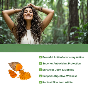 OEM 수요가 많은 심황 보충제 | 뜨거운 판매 허브 커큐민 심황 캡슐 - Product Image 3