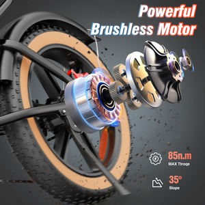 <span class=keywords><strong>Bicicleta</strong></span> Eléctrica Híbrida de Montaña Ridstar Q20 Luxe 48v 20Ah con Batería de Litio, <span class=keywords><strong>Bicicleta</strong></span> Eléctrica Todoterreno con Llantas Gruesas para Adultos - Product Image 2