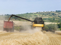 Nouvelle Moissonneuse-batteuse automatique multifonctionnelle à transmission par engrenages, largeur de travail 3800 mm, pour la récolte des céréales