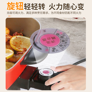Royalstar Electric Hot Pot 7L Titanium Coated Inner Liner Household Cooking Pot - Product Image 2