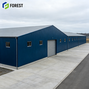 Estructura de Acero Estructural Personalizada para Instalaciones de Almacenamiento Logístico, Edificio Industrial Modular Prefabricado de Alta Resistencia - Product Image 1