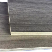 Papan Kayu Birch Komersial Merek Senjia Produsen Cina 18mm Ramah Lingkungan Standar E0 Desain Industrial Kelas Satu untuk Interior