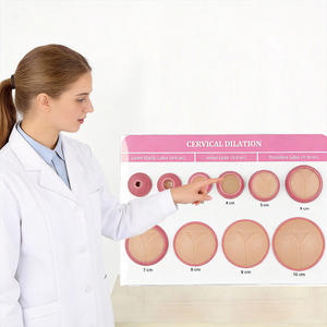 Demonstrador de Dilatação Cervical para Parto DARHMMY - 8 Modelos Mostrando Abertura de 1-10 cm para Prática de Obstetrícia - Product Image 2
