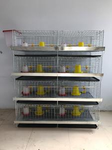 Marco a prueba de humedad, deterioro antialimentación, adecuado para jaulas de pollos de engorde resistentes a la intemperie junto a la playa costera - Product Image 5