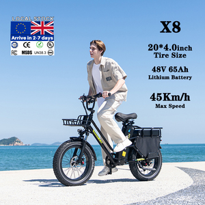Koolux X8แบตเตอรี่ลิเธียมไร้แปรงถ่านแบบยุโรป48V 250W 30 + 35Ah แบตเตอรี่สองก้อนพับได้ไขมันจักรยานไฟฟ้า eu/uk ระยะยาว - Product Image 2