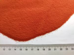 สเปรย์แห้ง SD มะเขือเทศผงแห้ง - Product Image 3