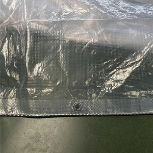 Bâche en plastique agricole transparente en PE de <span class=keywords><strong>200</strong></span> <span class=keywords><strong>microns</strong></span>, film tissé <span class=keywords><strong>pour</strong></span> <span class=keywords><strong>serre</strong></span>, couverture de pluie <span class=keywords><strong>pour</strong></span> verger, vente en gros - Product Image 5