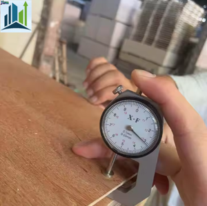 Фанера из эвкалипта 3 мм, многослойная, цельная, 2440*1220 (4*8 футов), экологичная, класс E0, для современной мебели, напрямую от производителя - Product Image 5