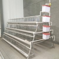 Nouvelle cage à poules pondeuses de type A avec système d'alimentation automatique, prix compétitif, fourniture directe d'usine, fil galvanisé