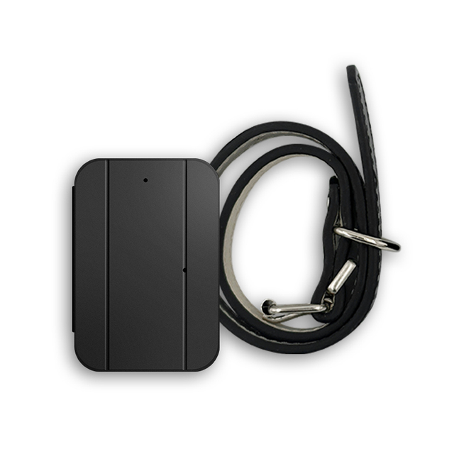 Daovay Waterproof Animal Pet GPS Tracker 4G Real-Time Positioning Portable Roof Mount 1 Year Warranty