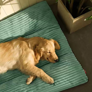 Fabrika özel toptan lüks <span class=keywords><strong>Pet</strong></span> mobilya malzemeleri aksesuarları yumuşak çıkarılabilir yıkanabilir <span class=keywords><strong>Pet</strong></span> köpek yatağı - Product Image 5