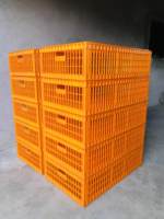 Nouvelles caisses de transport pour poulets en plastique orange de type H, grandes dimensions 96x56x27cm, pour usage agricole, longue durée de vie, garantie de 3 mois, pour animaux vivants