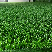 Césped Artificial Turflory, Precio por Pie Cuadrado, Césped Sintético Personalizado para Gimnasio, Béisbol, Rollo de Alfombra de Césped Sintético