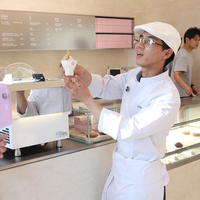 Machine à glace de table Miles V1 Milano en acier inoxydable, mini-machine à gelato pour petites entreprises, fabrication et présentation tout-en-un