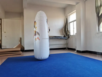 Oreiller gonflable en PVC Beile 2026 populaire, personnalisable avec des motifs pour adultes SPH
