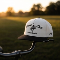 Casquette de baseball 5 panneaux personnalisée avec logo, promotion sur mesure, casquette en coton brodée, casquettes de sport