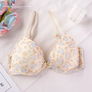 Soutien-gorge push-up sexy imprimé léopard à fleurs européennes et américaines pour <span class=keywords><strong>Amazon</strong></span> Xiyin Meilleure vente Contrôle ferme <span class=keywords><strong>Sous</strong></span>-vêtements pour femmes - Product Image 4