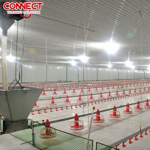 Sistema Automático de Alimentación de Aves de Corral de Alta Eficiencia, Línea de Alimentación de Pollos de Engorde Duradera - Product Image 4