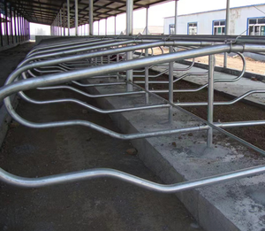 Cubículos <span class=keywords><strong>de</strong></span> Establos Libres para Vacas Lecheras en Venta para un Descanso Confortable y una Gestión <span class=keywords><strong>de</strong></span> Alimentación Óptima - Product Image 3