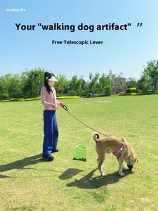 편리한 야외 애완 동물 똥 클리너 조명 손을 깨끗하게 유지하는 데 도움이되는 개 쓰레기 줍기를위한 편리한 도구-개 화장실 카테고리 - Product Image 6