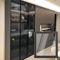Profil en aluminium contemporain Portes en verre pour armoire Armoire Cadre Fenêtre