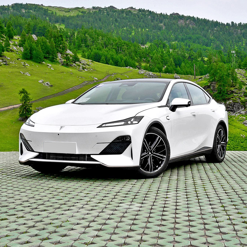 2024 New Energy Vehicle Long Range