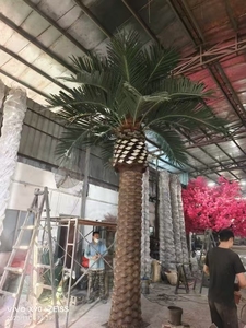 Tùy Chỉnh Chiều Cao Lớn Cây Tảo Nhân Tạo Canary Ngày Cây Cọ Cây Dừa Nhân Tạo Cho Ngoài Trời Trang Trí - Product Image 4