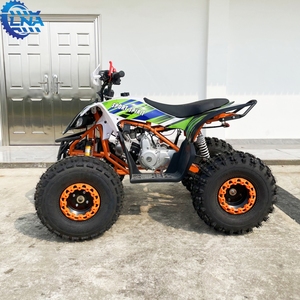 <span class=keywords><strong>Quad</strong></span> LNA <span class=keywords><strong>125</strong></span> cc à prix abordable, pièces courantes pour usage commercial - Product Image 5