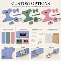 Kit de promenade pour chiot côtelé tendance, en gros, avec gilet de poitrine en Y, laisse, accessoire nœud, distributeur de sacs, en polyester et velours côtelé