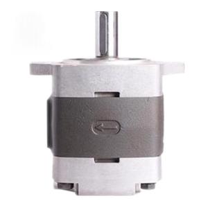 Bomba de Engranajes Internos Serie IPV IPVP IPVAP IPC IPN IPM IPNL, Bomba Hidráulica de Engranajes Internos IPVAP6-125-100 IPVAP7-125-100 - Product Image 2