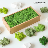Mousse de renne naturelle stabilisée en gros pour aménagement paysager mural, micro-paysages, décoration DIY et matériaux floraux