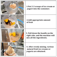 Nouvelle machine commerciale à crème glacée et desserts glacés aux fruits - Machine à mélanger et à préparer les yaourts glacés à haute productivité