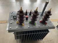 Transformateur immergé dans l'huile à double enroulement de la série ROOQ Llkv 1000 kVA triphasé 0 Hz avec entrée 10,5/11 kV