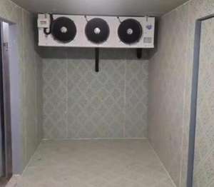 Grote Koude Opslag Project Bouw Hoge Kwaliteit Bevroren Koude Opslag/Koude Ruimte Voor Vlees En Vis - Product Image 1