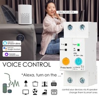 Mini-interrupteur intelligent Wi-Fi en plastique avec protection contre les fuites de tension, contrôle à distance par téléphone mobile, relais temporisé industriel MCB 3kA