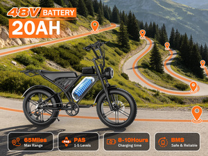 Motocicleta Retro de 20 Pulgadas, 48V, 1500W, Batería de Litio, Velocidad de 25 km/h, Doble Freno de Disco Hidráulico, Carga de 200 kg - Product Image 6