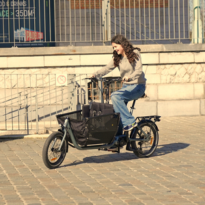 Vélo électrique vintage pour bébé, vélo cargo, vélo électrique de tourisme et de <span class=keywords><strong>famille</strong></span> - Product Image 1