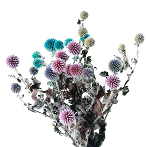 Flores decorativas coloridas al por mayor cardo de globo seco <span class=keywords><strong>Echinops</strong></span> secas flores de Eryngium azul preservadas para la decoración de la boda del hogar - Product Image 4