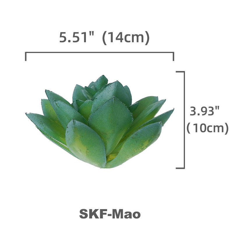 verde SKF-Mao