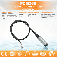 PCM263 Integrierter Tauchfähiger Füllstandsensor 4-20mA 0,5% Genauigkeit Wasser-Flüssigkeits-Füllstandsmesser für Tank- und Reservoirlösungen