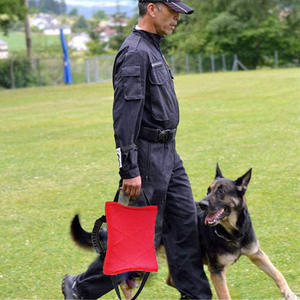 Giocattolo da Tiro per Cani in Lino Francese di Alta Qualità con 3 Maniglie Resistente ai Morsi per Cani Giovani - Product Image 3