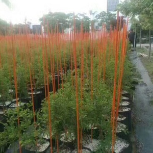 High Strength Tree Plant Fence FRP Fiberglass Garden Stake - Product Image 5