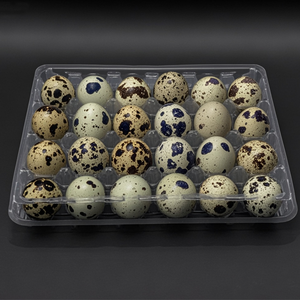 Plateau de 24 Alvéoles Pliable pour Œufs de Caille – Cartons à Œufs de Caille - Product Image 5