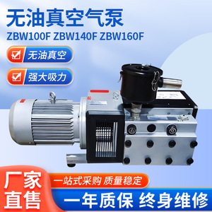 ปั๊มสุญญากาศ Isge Zbw100F140F160F 22 ลูกบาศก์เมตร/ชั่วโมง แบบไร้น้ำมัน สำหรับงานพิมพ์และบรรจุภัณฑ์ - Product Image 5