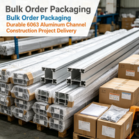 Profilé linéaire encastré en aluminium 6063 durable, support de fourniture en gros pour les projets de construction