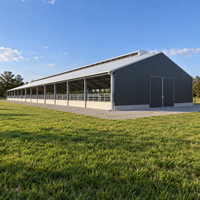Bâtiment Agricole à Structure Métallique à Portée Libre, Entrepôt Isolé en Acier, Atelier, Hangar, Résistance à la Corrosion