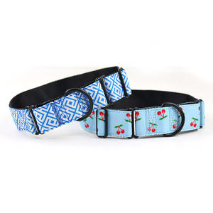 <span class=keywords><strong>Collar</strong></span> de perro martingala con impresión personalizada diseño de moda fuerte resistente sin estrangulamiento con anillo en D para perros de cuello ancho - Product Image 6