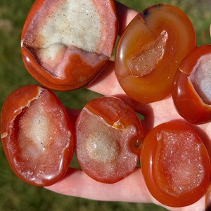Pierre de palmier en agate rouge naturelle polie en gros pour la décoration de bureau à domicile - Product Image 3