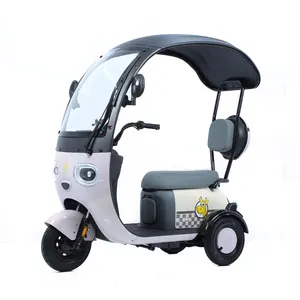 800W Electric Pedicab 3 Wheels Passenger Electric Bike Tricycle 3 Wheel Electric Bicycle With Roof